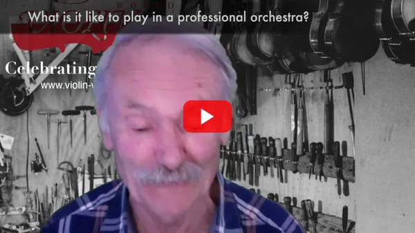 What is it like to play in a professional orchestra?